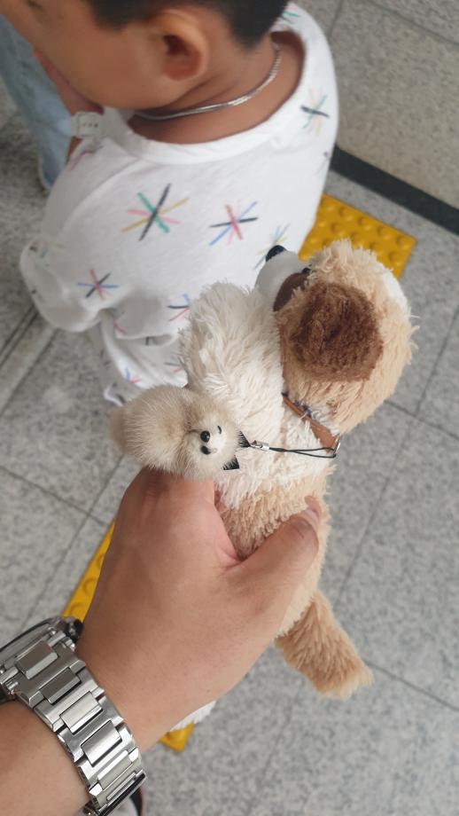기념품 이미지