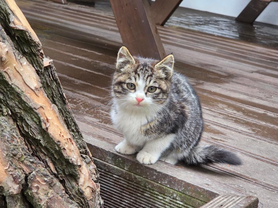 귀엽죠? 이미지