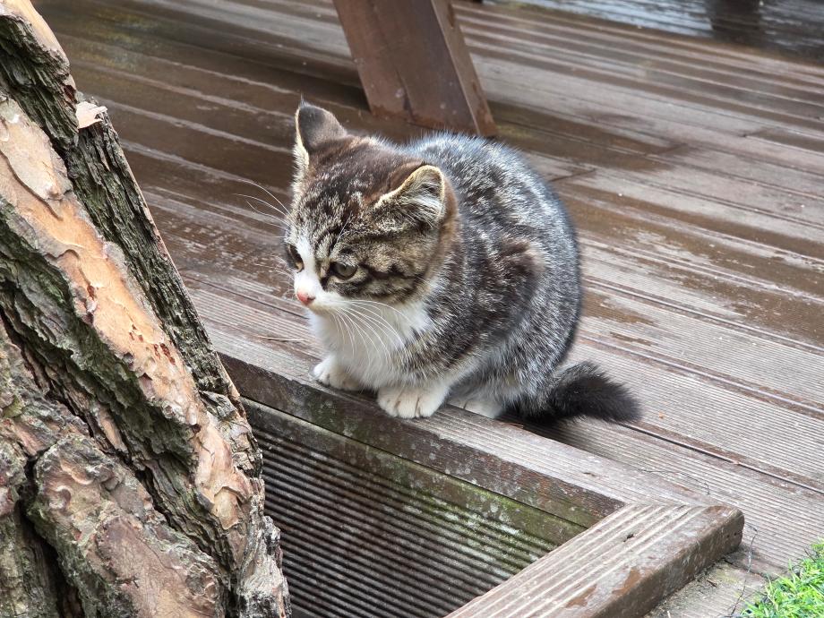 주변 식당에 있어요 이미지
